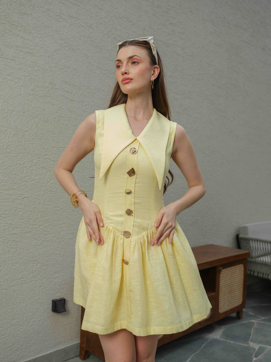 ZING - Drop waist mini dress with button detailing